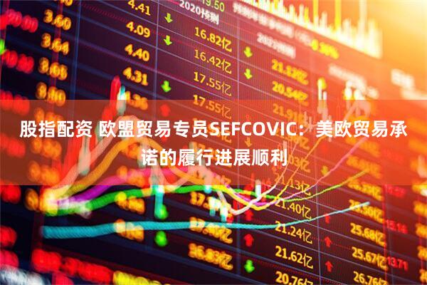 股指配资 欧盟贸易专员SEFCOVIC：美欧贸易承诺的履行进展顺利